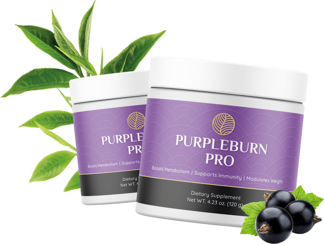 PurpleBurn Pro buy